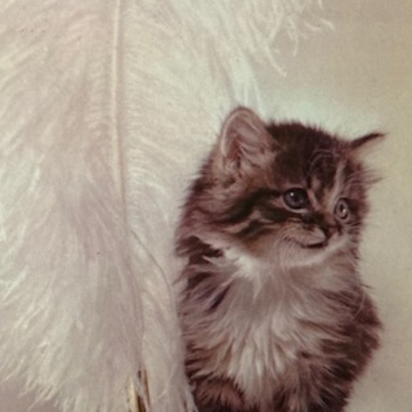 Karen Kane Skirt - Picture 8 of 8